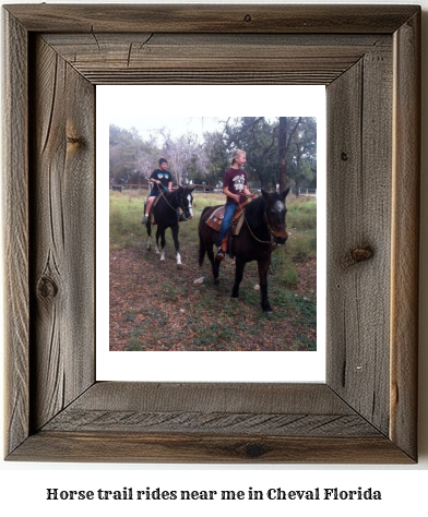 horse trail rides near me in Cheval, Florida